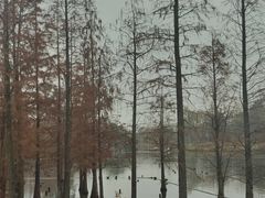 -三圣花乡旅游区