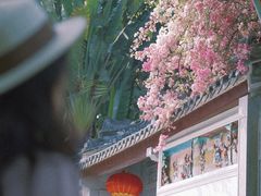 -深圳国际园林花卉博览园