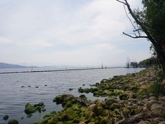 -才村湿地公园