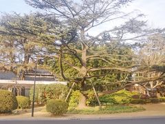 -西郊宾馆·1921餐厅