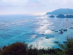 -枸杞岛