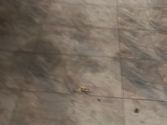 -巢爷老味(东方红店)