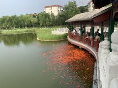 -西海子公园