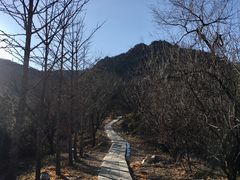-北京鹫峰国家森林公园