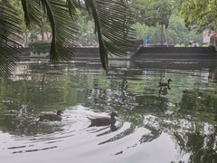 -星巴克(西湖天地店)