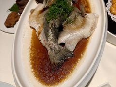 -MD日越生辉铁板烧(海运堤店)