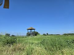 -七的湖·晚芳亭·阳澄湖农家菜·大闸蟹(莲花岛店)
