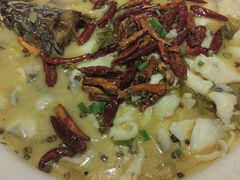 -福来齐·鲁菜海鲜·渔家菜(朝阳街分店)