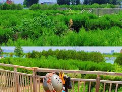 -亲兄弟真人CS团建拓展基地