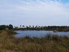 -北海金海湾红树林生态旅游区