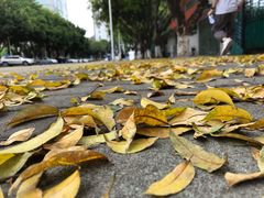 -广州保龄球馆(广州天河体育中心店)