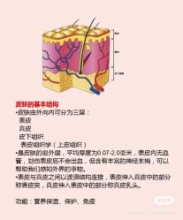 -海茱雅科技健康美容