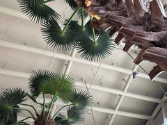 -麓湘小镇(金茂览秀城店)