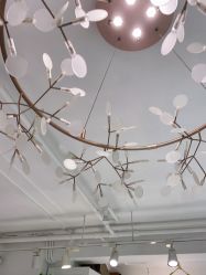 -潘多拉Hairsalon