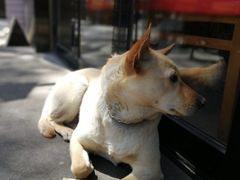 -Cactus墨西哥仙人掌餐厅