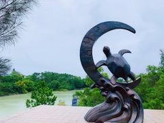 -广东惠东海龟国家级自然保护区
