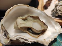 -臻炙大舍烤串(天龙家园店)