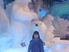 -海合安成都极地海洋公园
