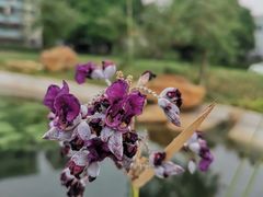 -陈李济中药博物馆