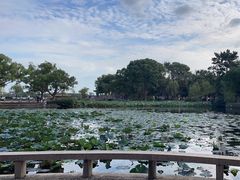 -无锡蠡湖国家湿地公园-蠡园