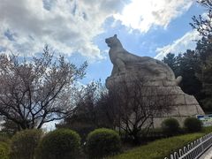 -帽儿山国家森林公园