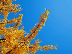 -苏州河梦清园环保主题公园