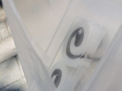 -牛姥姥牛奶酪