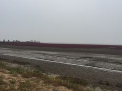 -红海滩国家风景廊道