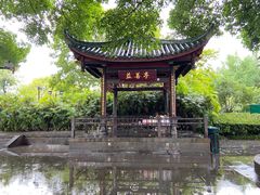 -桂湖森林公园