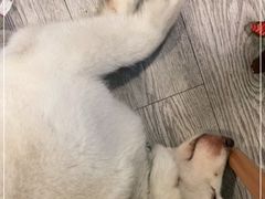 -小时光咖啡馆(北锣鼓巷店)