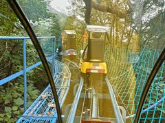 -黄金寨原生态旅游区
