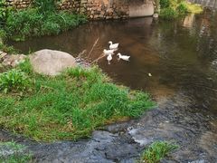 -北京水岸山吧度假村(雁栖镇店)