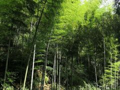 -仙霞关景区