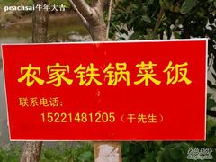 -南汇桃花村