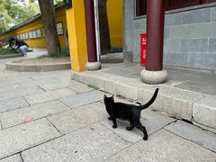 -西园戒幢律寺
