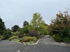 -墨尔本皇家植物园