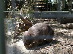 -费瑟代尔野生动物园