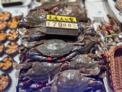 -渔娘渔家丹东海鲜(东直门店)