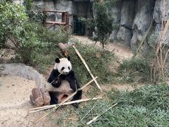 -泉州海丝野生动物世界