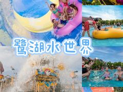 -美的鹭湖森林度假区