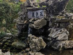-上海醉白池公园