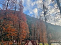 -广州市石门国家森林公园