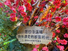 -王捌小院(红花坡店)