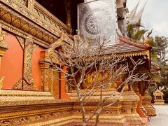 -西双版纳总佛寺