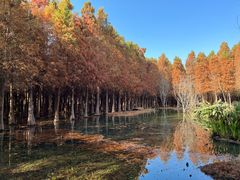 -捞渔河湿地公园