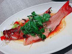 -金成潮菜博物馆(海珠湿地店)