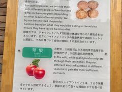 -熊猫厨房