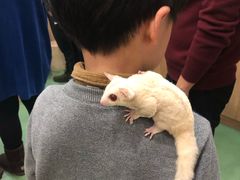 -藦茜花园宠物主题亲子互动体验馆(国顺东路店)