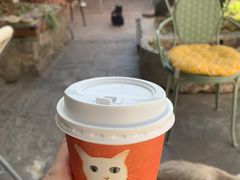 -喵屿·大理花园猫咖