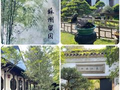 -留园